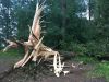 Einfache TH